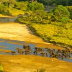 6 Days Tanzania Mid-range Safari