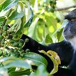 Arusha National Park