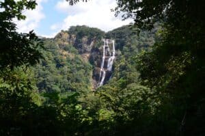 Udzungwa national park