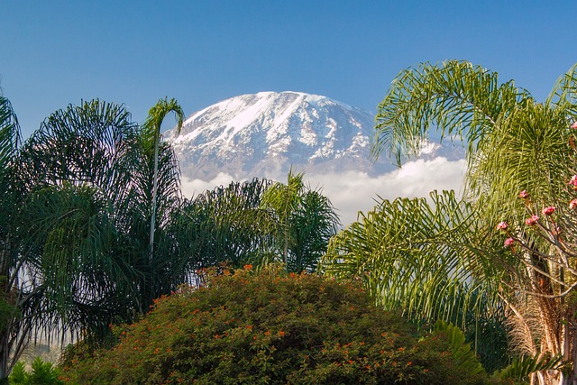 Free Kilimanjaro Tanzania photo and picture
