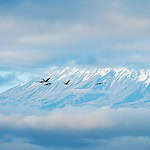 When is the Best time to Climb Mount Kilimanjaro