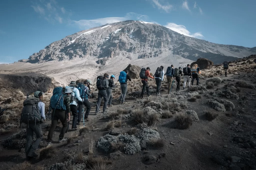 kilimanjaro join group departures