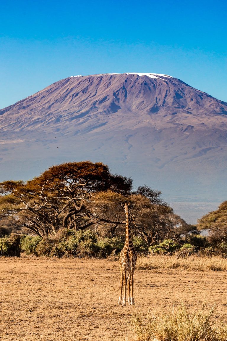 Africa’s Mount Kilimanjaro: A Complete Guide to the Roof of Africa