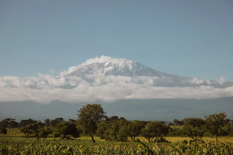 2025 Kilimanjaro Climbing Predictions