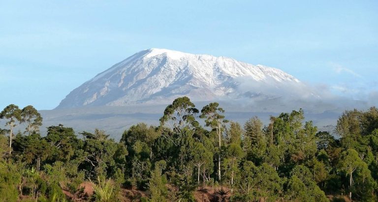 Kilimanjaro’s 2025 Wildlife Forecas