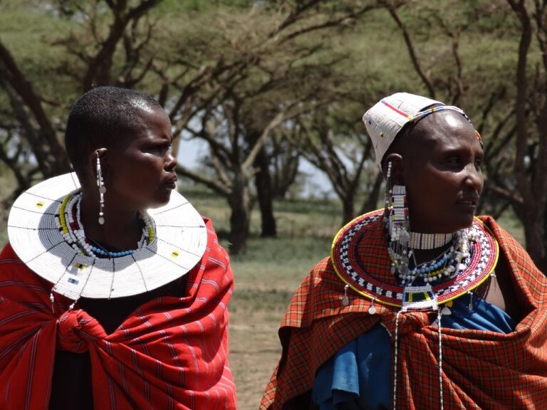 Cultural Festivals in Tanzania: Experiencing Local Traditions Firsthand