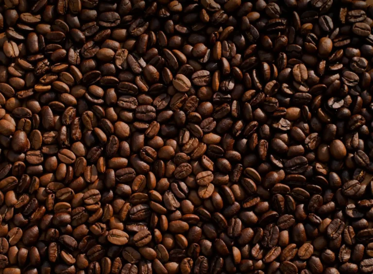 Tanzania’s Coffee Culture: Plantation Tours and Tastings