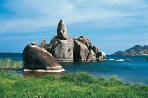 Tanzania National Parks Guide