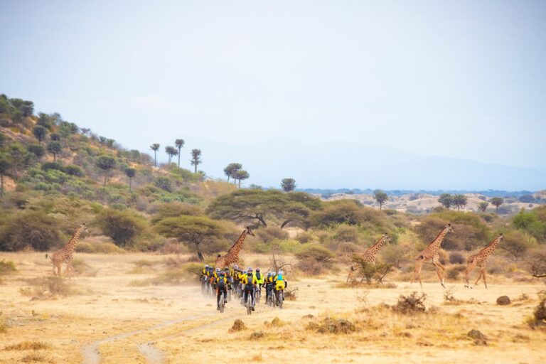Cycling Safari Tanzania: Two-Wheel Adventures Across Northern Parks